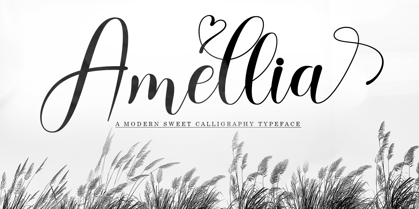 Amellia Script